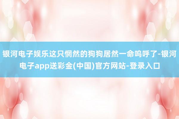 银河电子娱乐这只惘然的狗狗居然一命呜呼了-银河电子app送彩金(中国)官方网站-登录入口