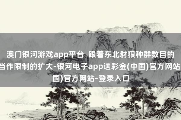 澳门银河游戏app平台  跟着东北豺狼种群数目的增多偏激当作限制的扩大-银河电子app送彩金(中国)官方网站-登录入口