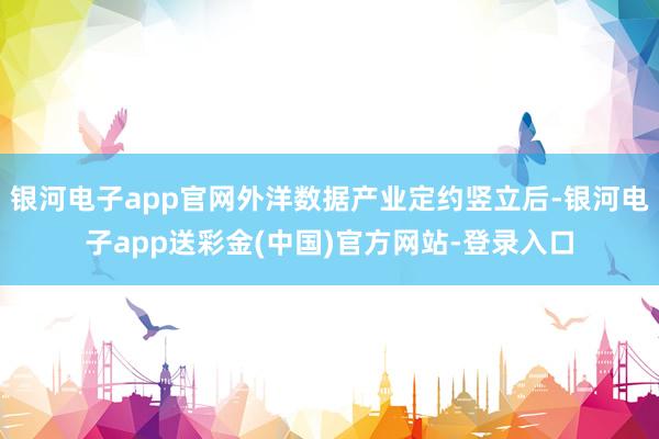 银河电子app官网外洋数据产业定约竖立后-银河电子app送彩金(中国)官方网站-登录入口